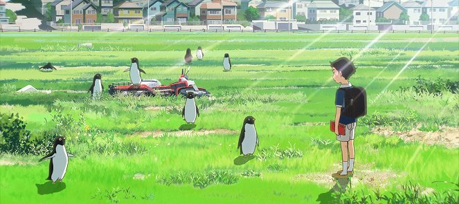 Penguin Highway (El misterio de los pingüinos) - De la película