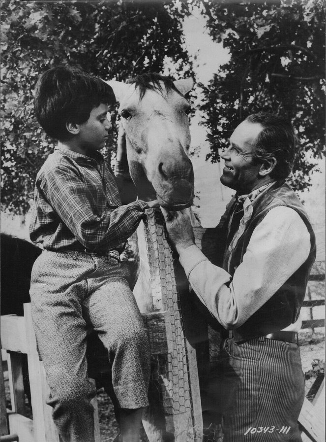 Šerifská hvězda - Z filmu - Michel Ray, Henry Fonda