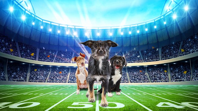 Puppy Bowl XV - Werbefoto