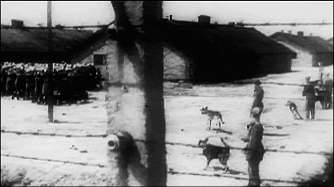Apokalipszis: a második világháború - Filmfotók