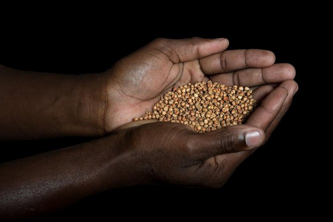 Burkinabè Bounty: agroecology in Burkina Faso - Photos