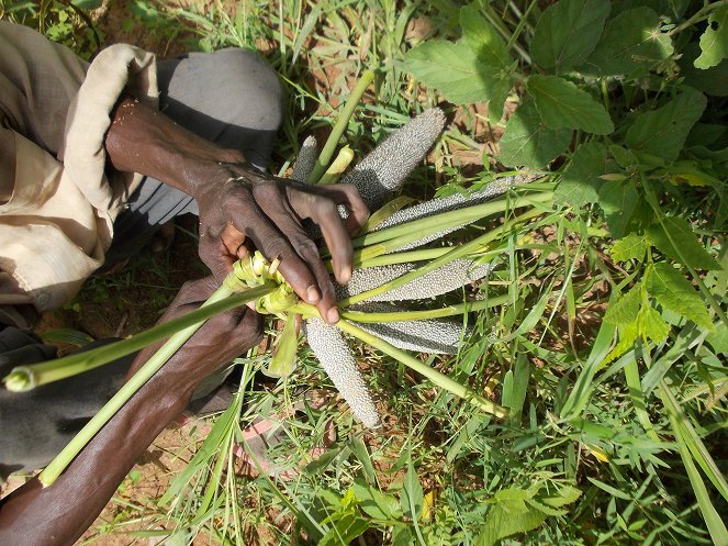 Burkinabè Bounty - Kuvat elokuvasta