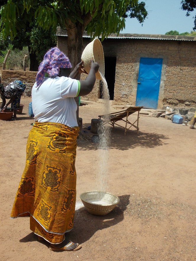 Burkinabè Bounty: agroecology in Burkina Faso - Photos