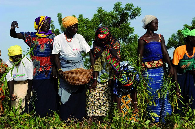 Burkinabè Bounty: agroecología en Burkina Faso - De la película