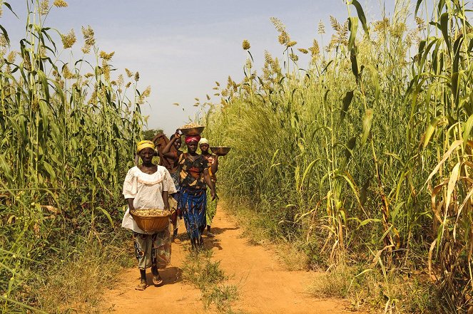 Agroekológia v Burkina Faso - Z filmu