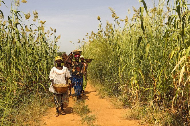 Burkinabè Bounty - Film