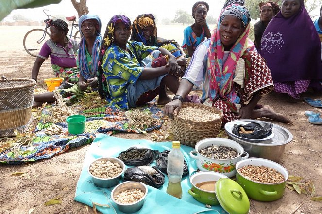 Burkinabè Bounty: agroecology in Burkina Faso - Photos