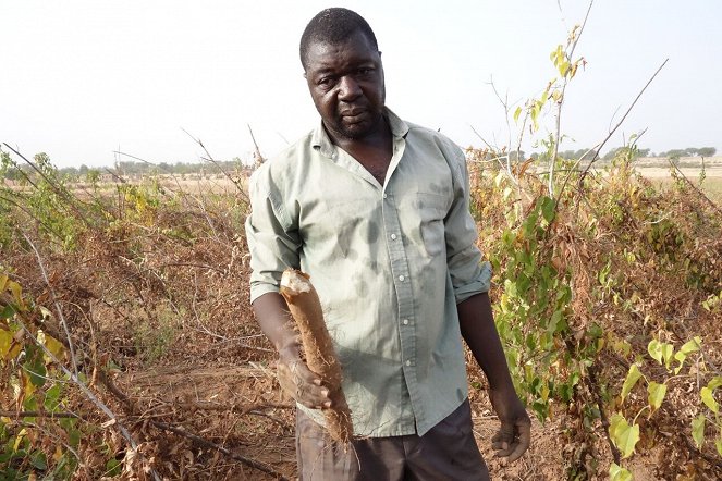 Burkinabè Bounty: agroecology in Burkina Faso - Photos