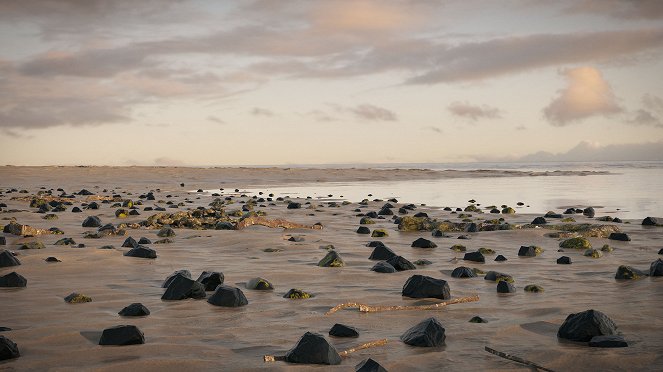 Meret ilman vettä - Kuvat elokuvasta