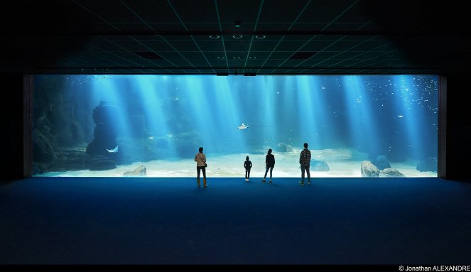 Nausicaa, le plus grand aquarium d'Europe - De filmes