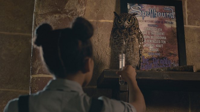 The Worst Witch - The Owl and the Pussycat - Photos