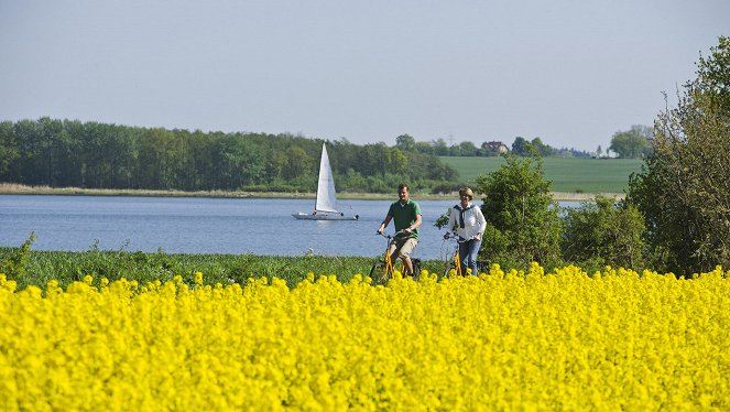 Abenteuer Erde: Schleswig-Holsteins schönste Förde - Die Schlei - Kuvat elokuvasta
