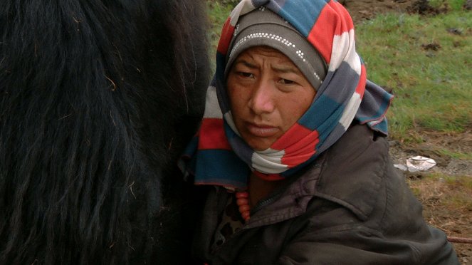 Drokpa, the Last Tibetan Nomads - De la película