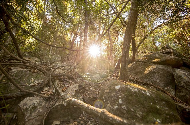 Rooted - The Giant - Photos