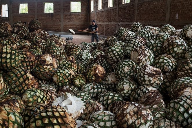 Agave: The Spirit of a Nation - Film