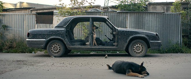 Space Dogs - Van film