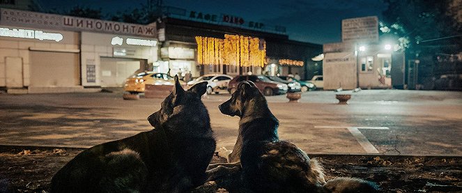 Space Dogs - Kuvat elokuvasta