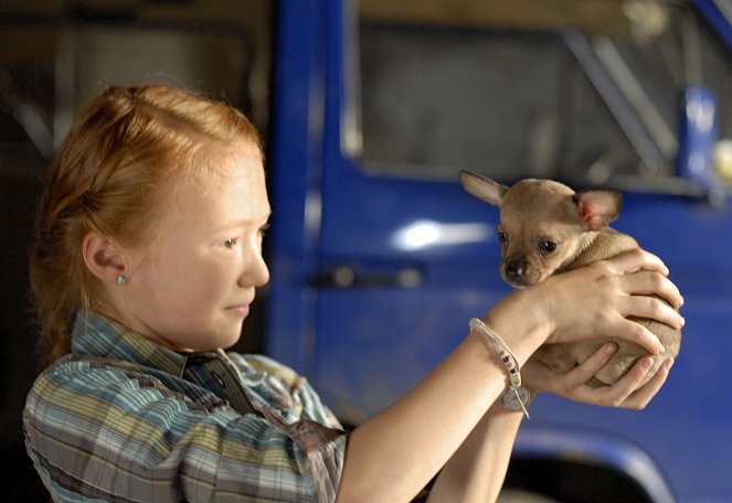 Kicsi a bors, de erős - Wühltisch-Welpen - Filmfotók