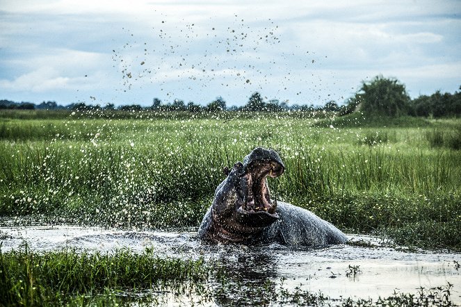 Okavango - Z filmu