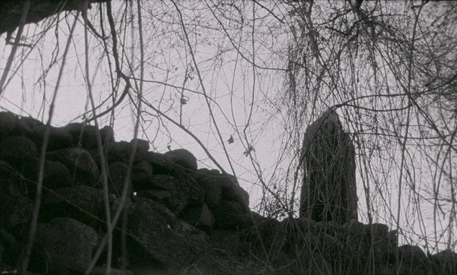 La bruja del fósforo paseante - Filmfotos