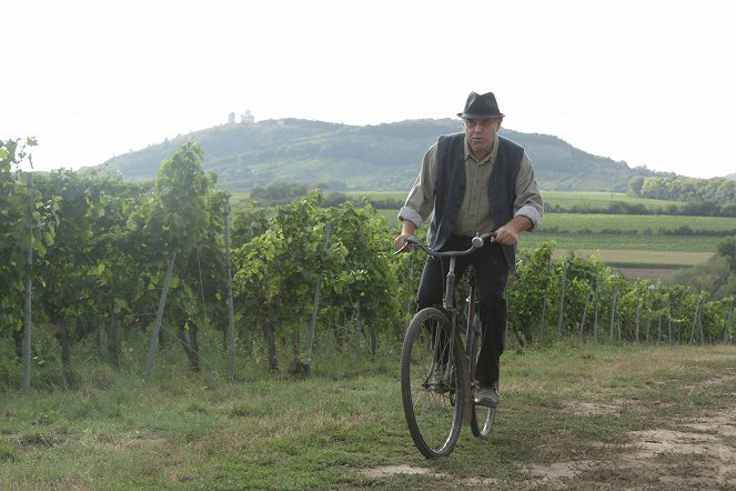 The Grapes 3 - Making of - Miroslav Táborský