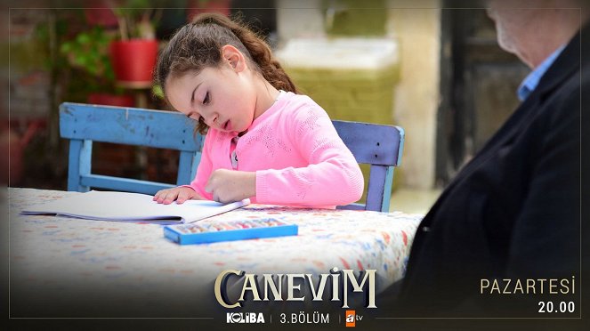 Canevim - Episode 3 - Cartões lobby - Ömrüm Nur Çamçakallı