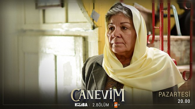 Canevim - Episode 2 - Cartes de lobby - Bedia Ener