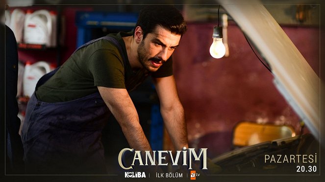 Canevim - Episode 1 - Cartões lobby - Aras Aydın