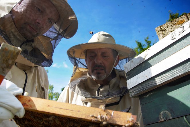 Trvalé bydliště venkov - Kočující včely - Filmfotók