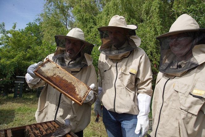 Trvalé bydliště venkov - Kočující včely - Filmfotos