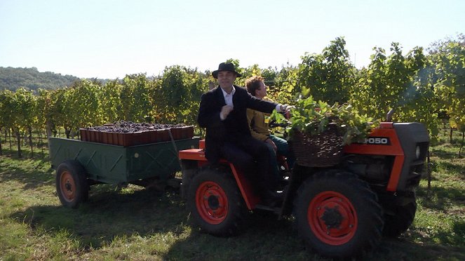 Naše tradice - Vinobraní - De la película - Miroslav Táborský