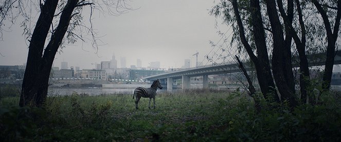O zwierzętach i ludziach - De la película