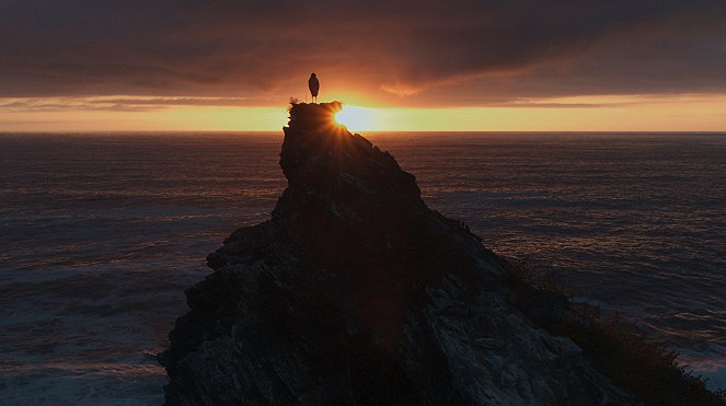 Abenteuer Erde: Portugal - Europas Wilder Westen - Film