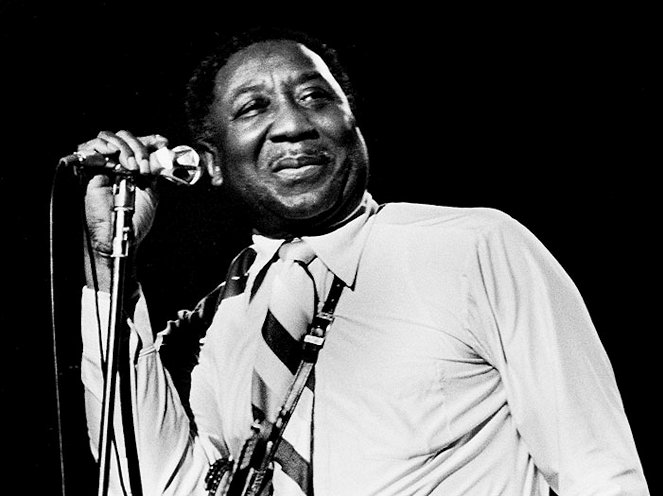 Muddy Waters at Chicagofest - Photos