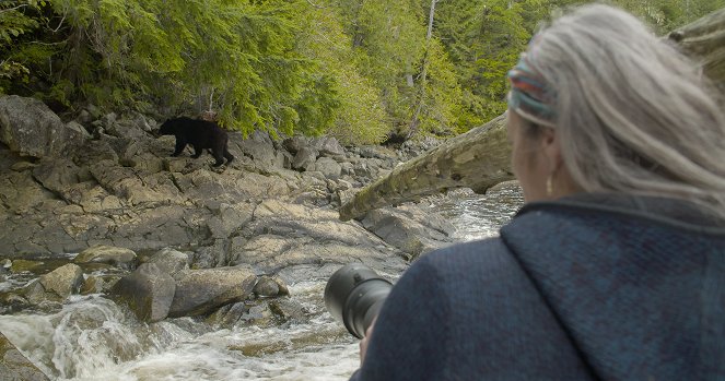 The Spirit of the Bears - Do filme