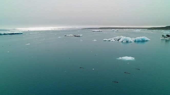 Life of Earth from Space - Filmfotók