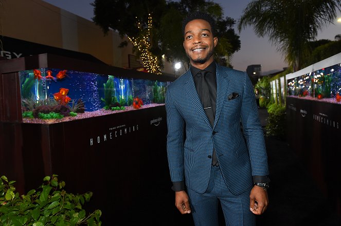 Homecoming - Season 1 - Eventos - Premiere of Amazon Studios' 'Homecoming' at Regency Bruin Theatre on October 24, 2018 in Los Angeles, California - Stephan James