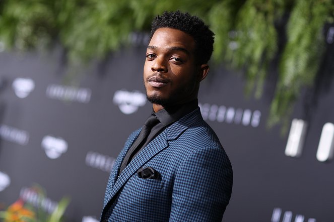 Homecoming - Season 1 - Events - Premiere of Amazon Studios' 'Homecoming' at Regency Bruin Theatre on October 24, 2018 in Los Angeles, California - Stephan James