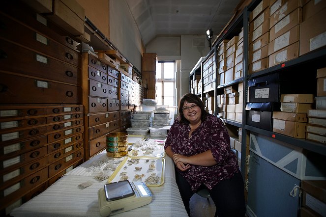 Treasures Decoded - Stonehenge: The Final Mystery - Photos