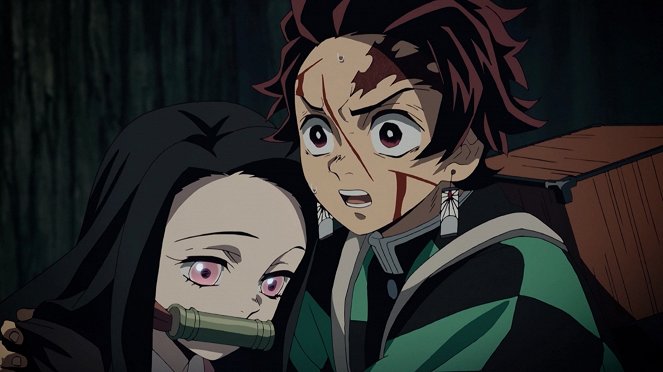 Demon Slayer - Tanjiro Kamado, Unwavering Resolve Arc - Photos