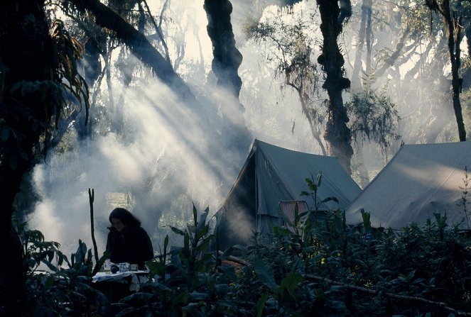 Dian Fossey: Secrets in the Mist - De la película