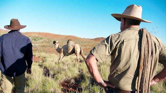 Outback Vet - De la película