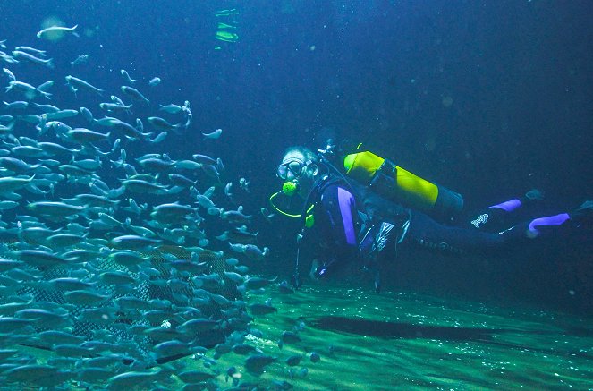 Nausicaá - Aquarium der Zukunft - Filmfotos