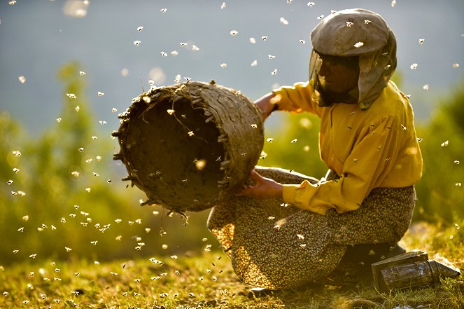 La terra de la mel - De la película