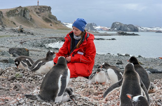 Abenteuer Antarktis - Ein Jahr im ewigen Eis - Z filmu