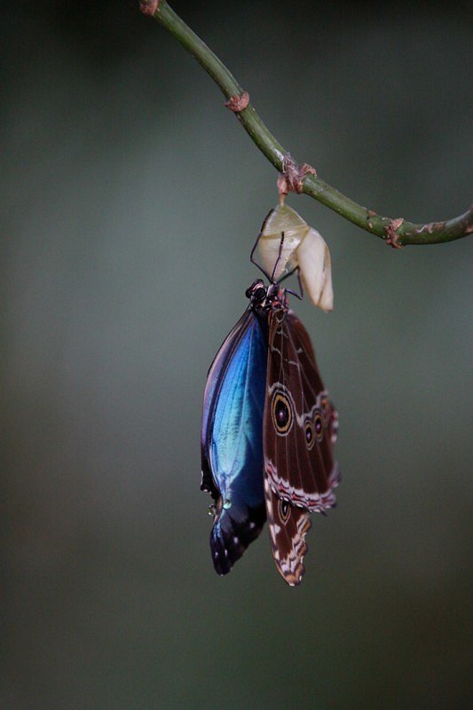 Wild Colombia - Filmfotos