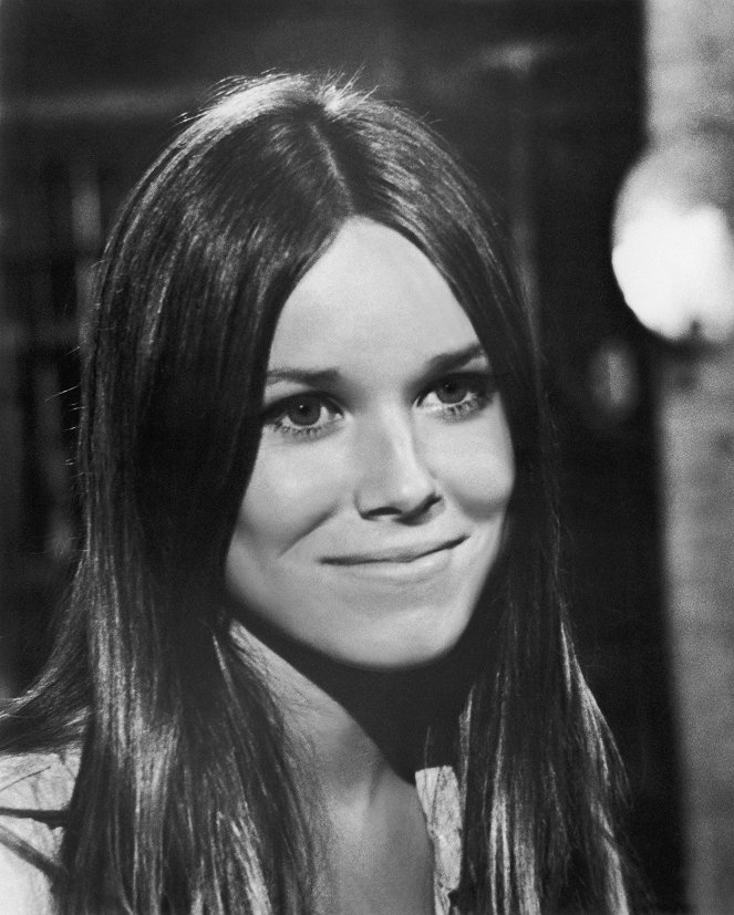 The Pursuit of Happiness - Photos - Barbara Hershey