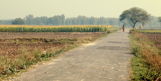 Le Champ de maïs - Film