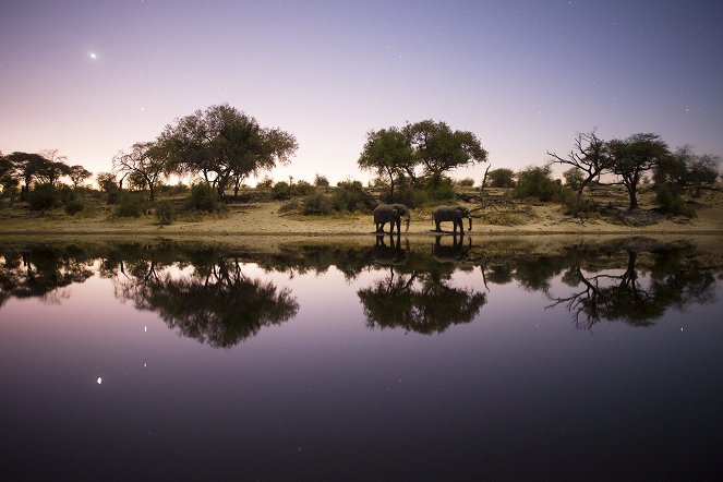 Expedition ins Okavangodelta - Filmfotos