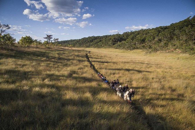 Into the Okavango - De filmes